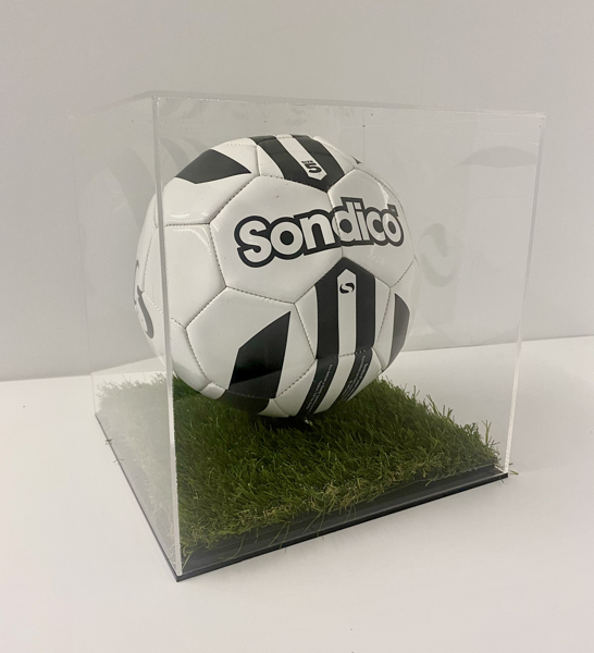 Picture of Football Display Case with Grass