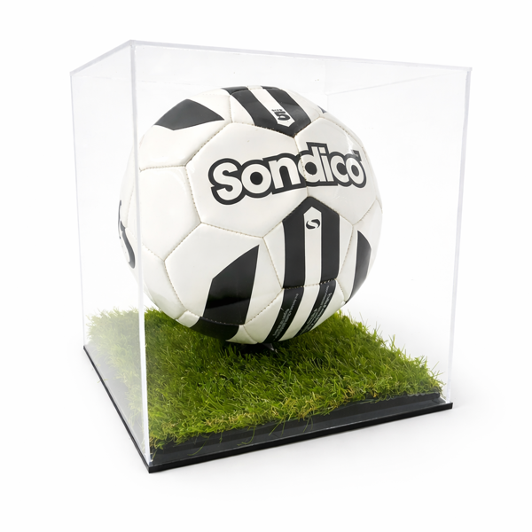 Picture of Football Display Case with Grass