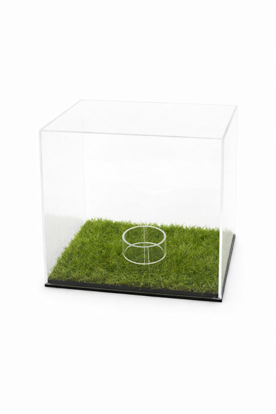 Picture of Football Display Case with Grass