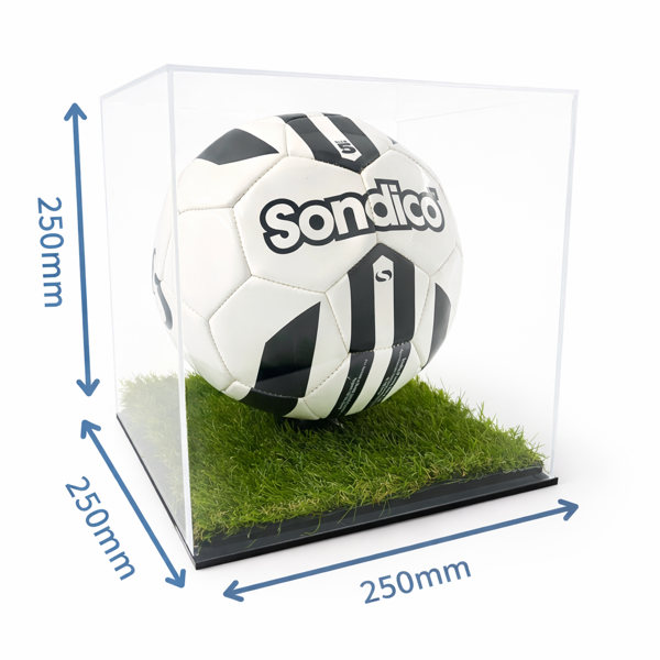 Picture of Football Display Case with Grass