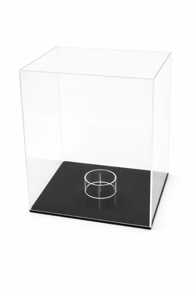 Picture of Rugby Ball Display Case