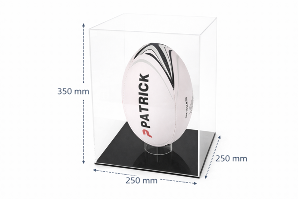 Picture of Rugby Ball Display Case