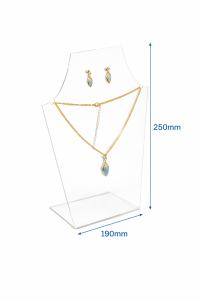 Picture of Clear 250mm (10") Bust